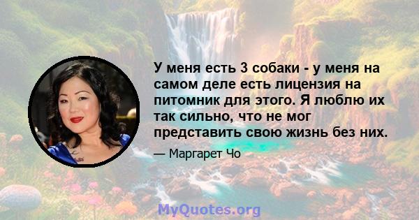 У меня есть 3 собаки - у меня на самом деле есть лицензия на питомник для этого. Я люблю их так сильно, что не мог представить свою жизнь без них.