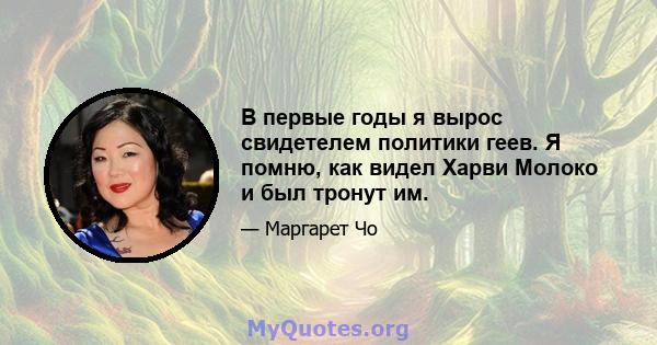 В первые годы я вырос свидетелем политики геев. Я помню, как видел Харви Молоко и был тронут им.