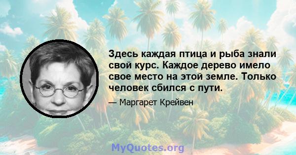 Здесь каждая птица и рыба знали свой курс. Каждое дерево имело свое место на этой земле. Только человек сбился с пути.