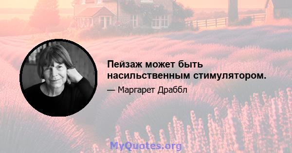 Пейзаж может быть насильственным стимулятором.