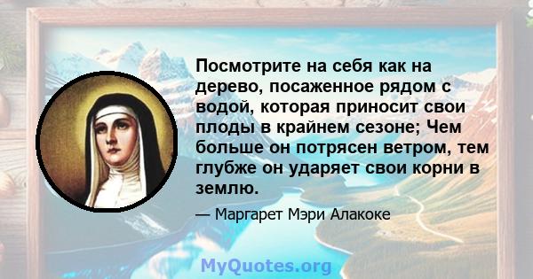 Посмотрите на себя как на дерево, посаженное рядом с водой, которая приносит свои плоды в крайнем сезоне; Чем больше он потрясен ветром, тем глубже он ударяет свои корни в землю.