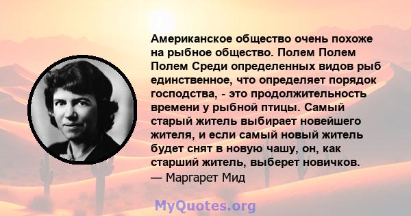 Американское общество очень похоже на рыбное общество. Полем Полем Полем Среди определенных видов рыб единственное, что определяет порядок господства, - это продолжительность времени у рыбной птицы. Самый старый житель