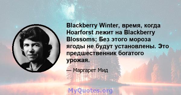 Blackberry Winter, время, когда Hoarforst лежит на Blackberry Blossoms; Без этого мороза ягоды не будут установлены. Это предшественник богатого урожая.