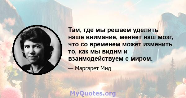 Там, где мы решаем уделить наше внимание, меняет наш мозг, что со временем может изменить то, как мы видим и взаимодействуем с миром.