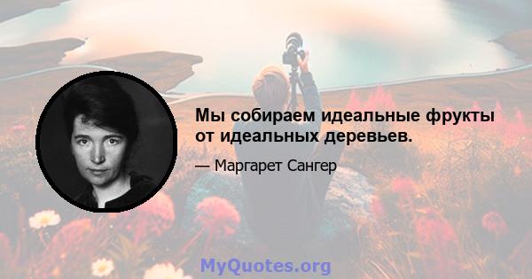 Мы собираем идеальные фрукты от идеальных деревьев.