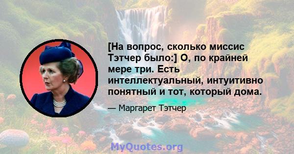 [На вопрос, сколько миссис Тэтчер было:] О, по крайней мере три. Есть интеллектуальный, интуитивно понятный и тот, который дома.