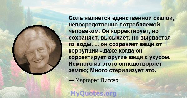 Соль является единственной скалой, непосредственно потребляемой человеком. Он корректирует, но сохраняет, высыхает, но вырвается из воды. Это очаровало человека на протяжении тысячелетий не только как вещество, которое