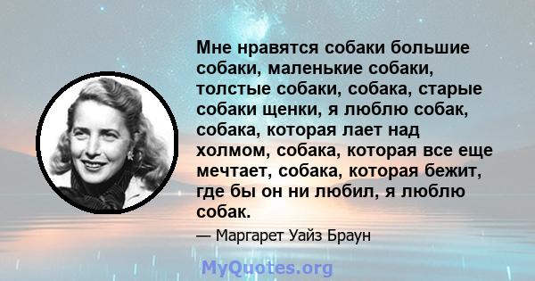 Мне нравятся собаки большие собаки, маленькие собаки, толстые собаки, собака, старые собаки щенки, я люблю собак, собака, которая лает над холмом, собака, которая все еще мечтает, собака, которая бежит, где бы он ни