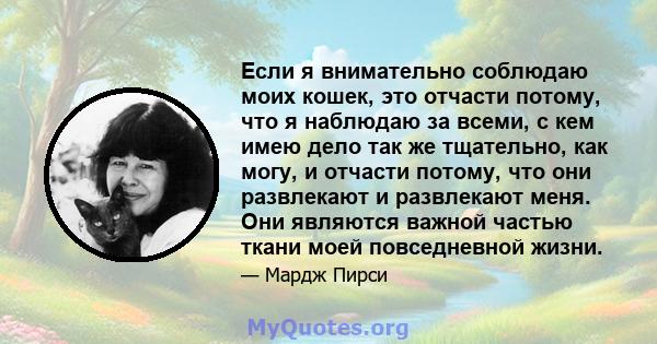 Если я внимательно соблюдаю моих кошек, это отчасти потому, что я наблюдаю за всеми, с кем имею дело так же тщательно, как могу, и отчасти потому, что они развлекают и развлекают меня. Они являются важной частью ткани