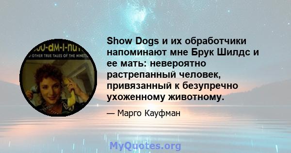 Show Dogs и их обработчики напоминают мне Брук Шилдс и ее мать: невероятно растрепанный человек, привязанный к безупречно ухоженному животному.