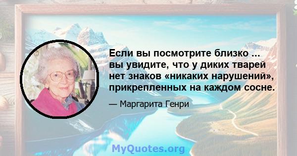 Если вы посмотрите близко ... вы увидите, что у диких тварей нет знаков «никаких нарушений», прикрепленных на каждом сосне.