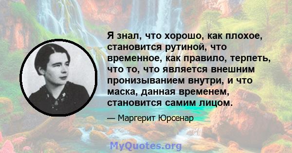 Я знал, что хорошо, как плохое, становится рутиной, что временное, как правило, терпеть, что то, что является внешним пронизыванием внутри, и что маска, данная временем, становится самим лицом.