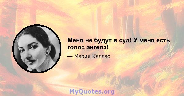 Меня не будут в суд! У меня есть голос ангела!