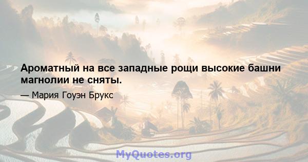 Ароматный на все западные рощи высокие башни магнолии не сняты.