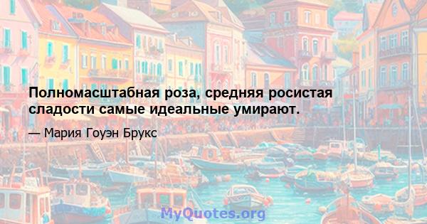 Полномасштабная роза, средняя росистая сладости самые идеальные умирают.