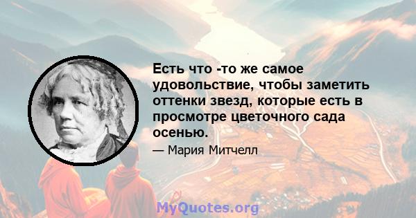 Есть что -то же самое удовольствие, чтобы заметить оттенки звезд, которые есть в просмотре цветочного сада осенью.