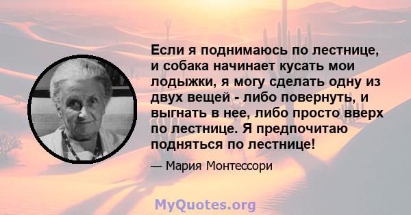 Если я поднимаюсь по лестнице, и собака начинает кусать мои лодыжки, я могу сделать одну из двух вещей - либо повернуть, и выгнать в нее, либо просто вверх по лестнице. Я предпочитаю подняться по лестнице!