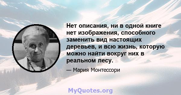 Нет описания, ни в одной книге нет изображения, способного заменить вид настоящих деревьев, и всю жизнь, которую можно найти вокруг них в реальном лесу.