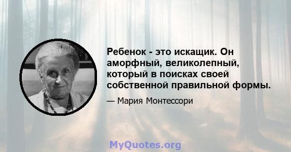 Ребенок - это искащик. Он аморфный, великолепный, который в поисках своей собственной правильной формы.