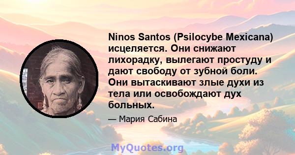 Ninos Santos (Psilocybe Mexicana) исцеляется. Они снижают лихорадку, вылегают простуду и дают свободу от зубной боли. Они вытаскивают злые духи из тела или освобождают дух больных.