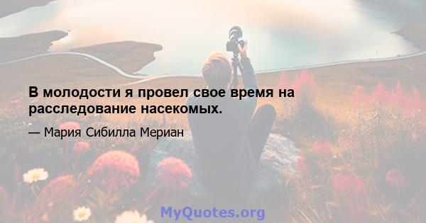 В молодости я провел свое время на расследование насекомых.