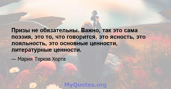 Призы не обязательны. Важно, так это сама поэзия, это то, что говорится, это ясность, это лояльность, это основные ценности, литературные ценности.