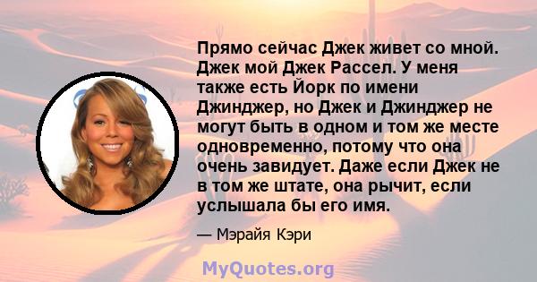 Прямо сейчас Джек живет со мной. Джек мой Джек Рассел. У меня также есть Йорк по имени Джинджер, но Джек и Джинджер не могут быть в одном и том же месте одновременно, потому что она очень завидует. Даже если Джек не в