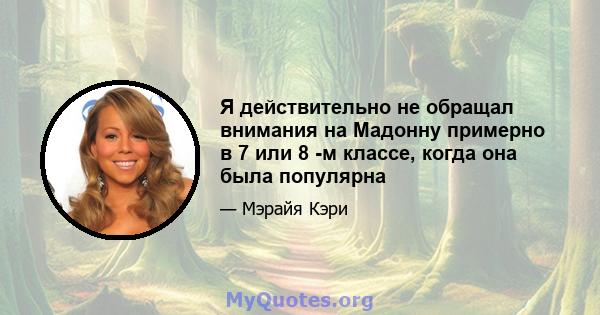 Я действительно не обращал внимания на Мадонну примерно в 7 или 8 -м классе, когда она была популярна