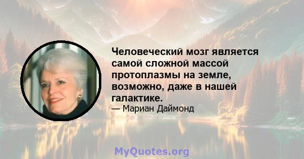 Человеческий мозг является самой сложной массой протоплазмы на земле, возможно, даже в нашей галактике.