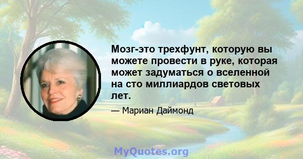 Мозг-это трехфунт, которую вы можете провести в руке, которая может задуматься о вселенной на сто миллиардов световых лет.