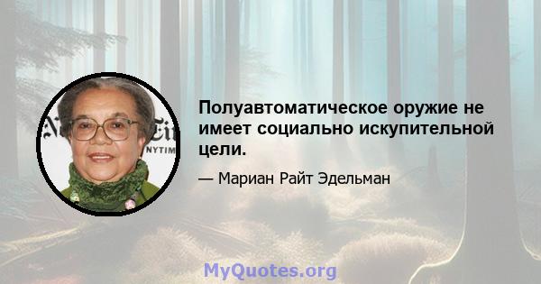 Полуавтоматическое оружие не имеет социально искупительной цели.