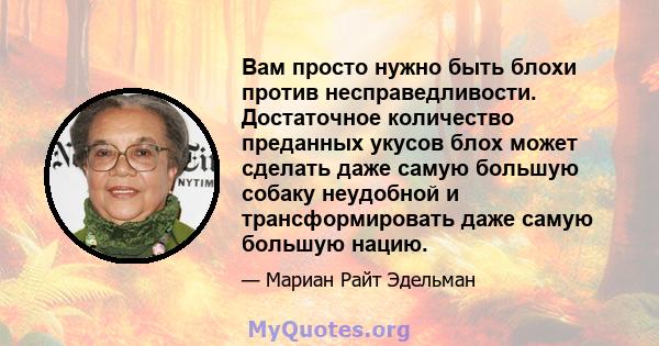 Вам просто нужно быть блохи против несправедливости. Достаточное количество преданных укусов блох может сделать даже самую большую собаку неудобной и трансформировать даже самую большую нацию.