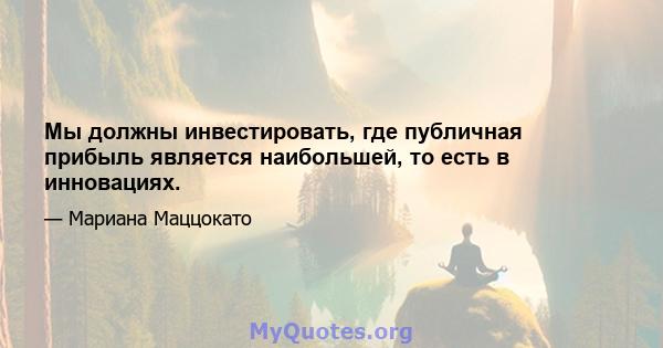 Мы должны инвестировать, где публичная прибыль является наибольшей, то есть в инновациях.