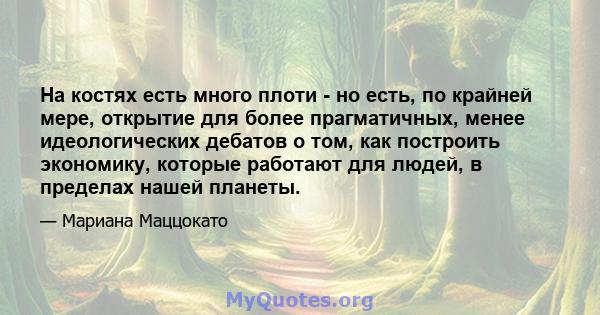 На костях есть много плоти - но есть, по крайней мере, открытие для более прагматичных, менее идеологических дебатов о том, как построить экономику, которые работают для людей, в пределах нашей планеты.