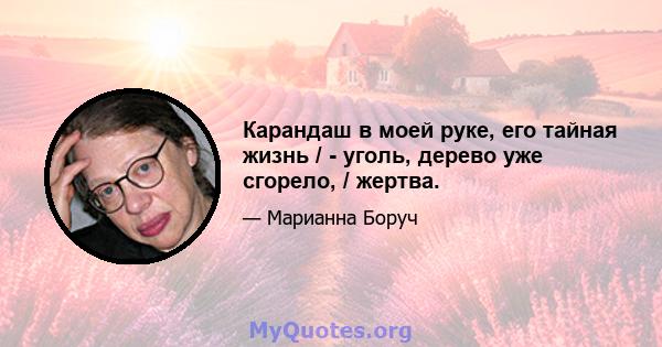 Карандаш в моей руке, его тайная жизнь / - уголь, дерево уже сгорело, / жертва.