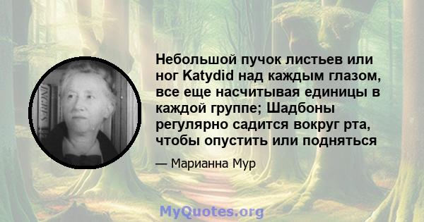 Небольшой пучок листьев или ног Katydid над каждым глазом, все еще насчитывая единицы в каждой группе; Шадбоны регулярно садится вокруг рта, чтобы опустить или подняться