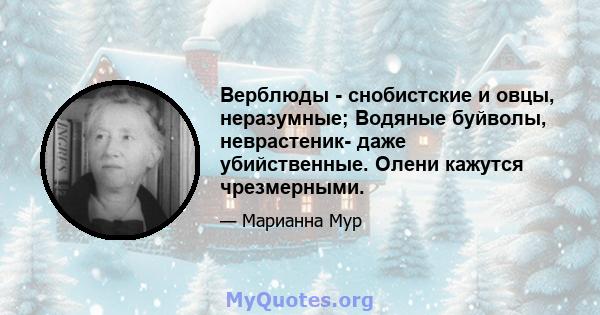 Верблюды - снобистские и овцы, неразумные; Водяные буйволы, неврастеник- даже убийственные. Олени кажутся чрезмерными.