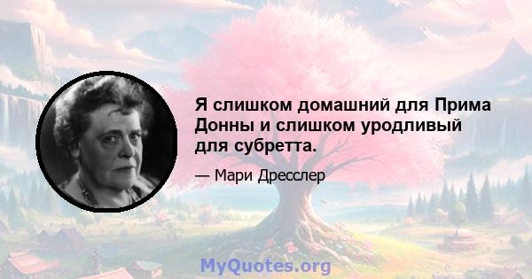 Я слишком домашний для Прима Донны и слишком уродливый для субретта.