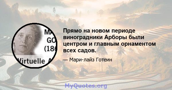 Прямо на новом периоде виноградники Арборы были центром и главным орнаментом всех садов.