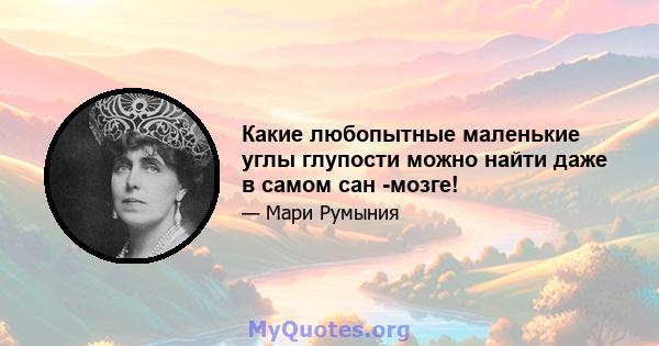 Какие любопытные маленькие углы глупости можно найти даже в самом сан -мозге!