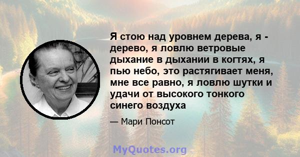 Я стою над уровнем дерева, я - дерево, я ловлю ветровые дыхание в дыхании в когтях, я пью небо, это растягивает меня, мне все равно, я ловлю шутки и удачи от высокого тонкого синего воздуха