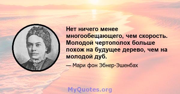 Нет ничего менее многообещающего, чем скорость. Молодой чертополох больше похож на будущее дерево, чем на молодой дуб.