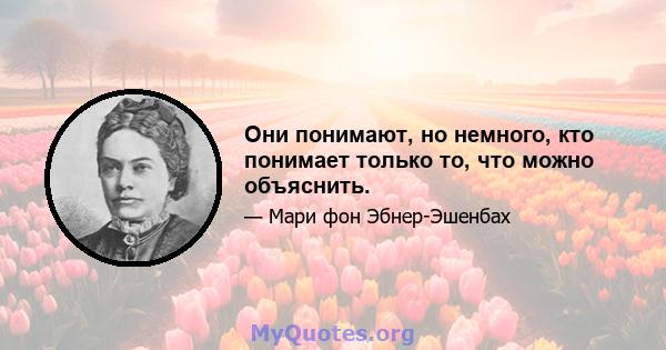 Они понимают, но немного, кто понимает только то, что можно объяснить.