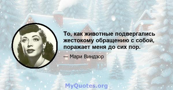 То, как животные подвергались жестокому обращению с собой, поражает меня до сих пор.