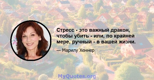 Стресс - это важный дракон, чтобы убить - или, по крайней мере, ручный - в вашей жизни.