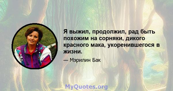 Я выжил, продолжил, рад быть похожим на сорняки, дикого красного мака, укоренившегося в жизни.