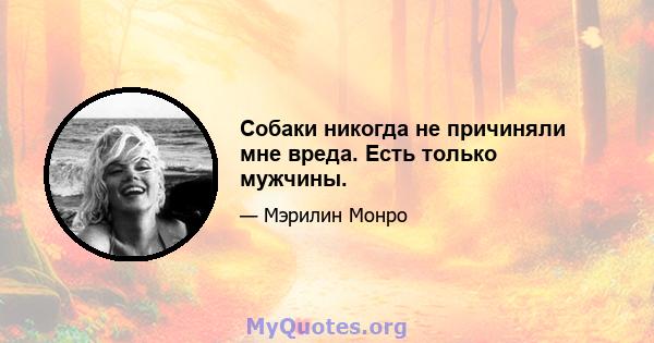 Собаки никогда не причиняли мне вреда. Есть только мужчины.