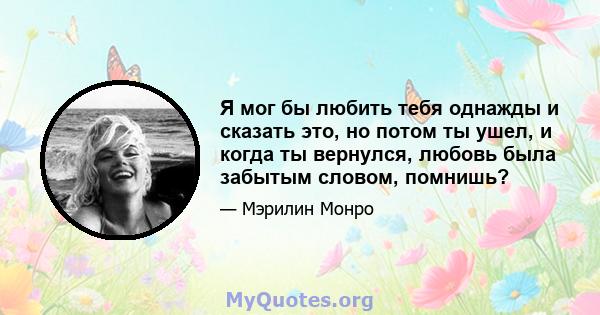 Я мог бы любить тебя однажды и сказать это, но потом ты ушел, и когда ты вернулся, любовь была забытым словом, помнишь?