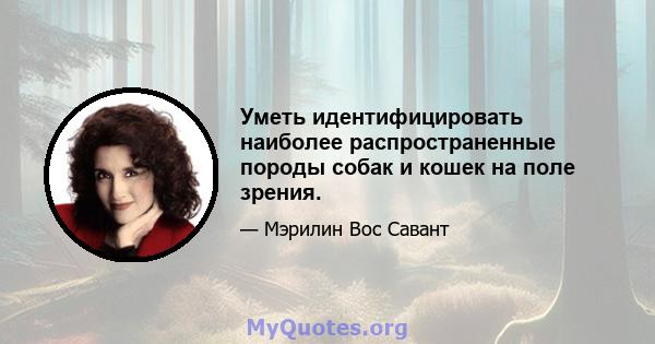 Уметь идентифицировать наиболее распространенные породы собак и кошек на поле зрения.