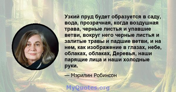 Узкий пруд будет образуется в саду, вода, прозрачная, когда воздушная трава, черные листья и упавшие ветви, вокруг него черные листья и залитые травы и падшие ветви, и на нем, как изображение в глазах, небе, облаках,